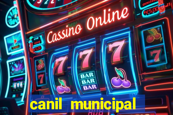 canil municipal porto alegre